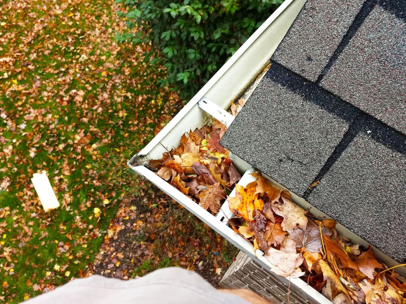 Professional Gutter Cleaning Services in Florida | Boca Boys